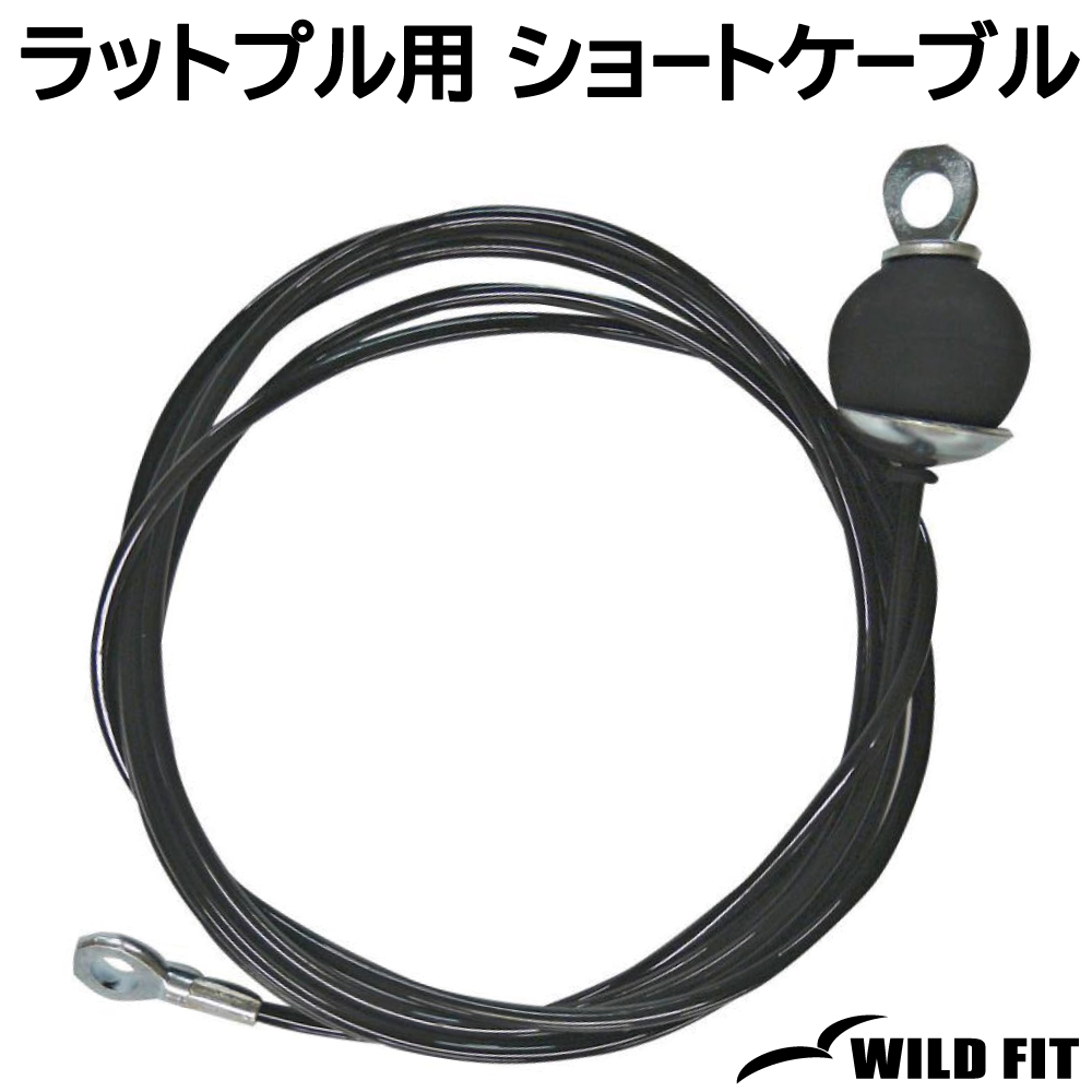 WILD FIT（ワイルドフィット） ラットプル用 ショートケーブル 290cm