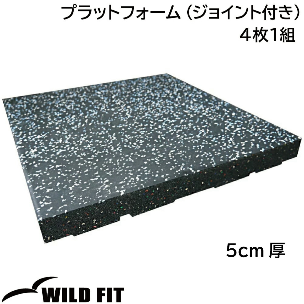 WILD FIT（ワイルドフィット） 固定式クローム 20kg 2本セット / 筋