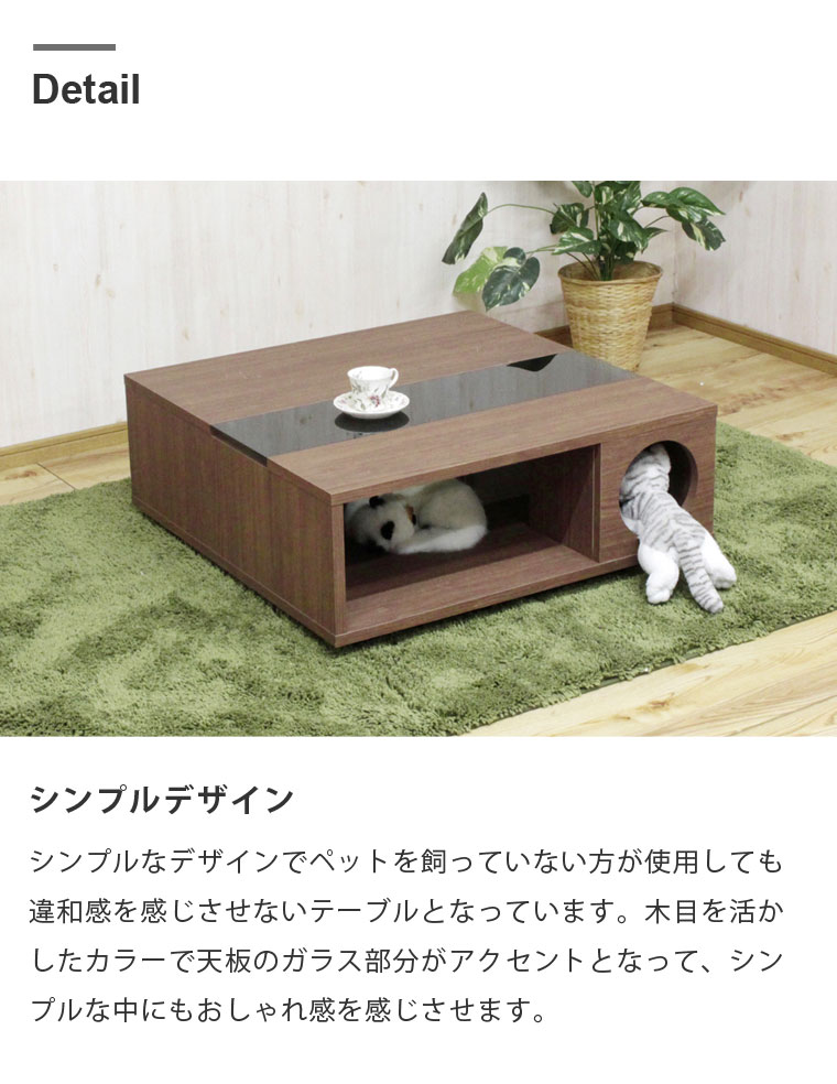 ペットハウス センターテーブル 引き出し付き ペット家具 ロー