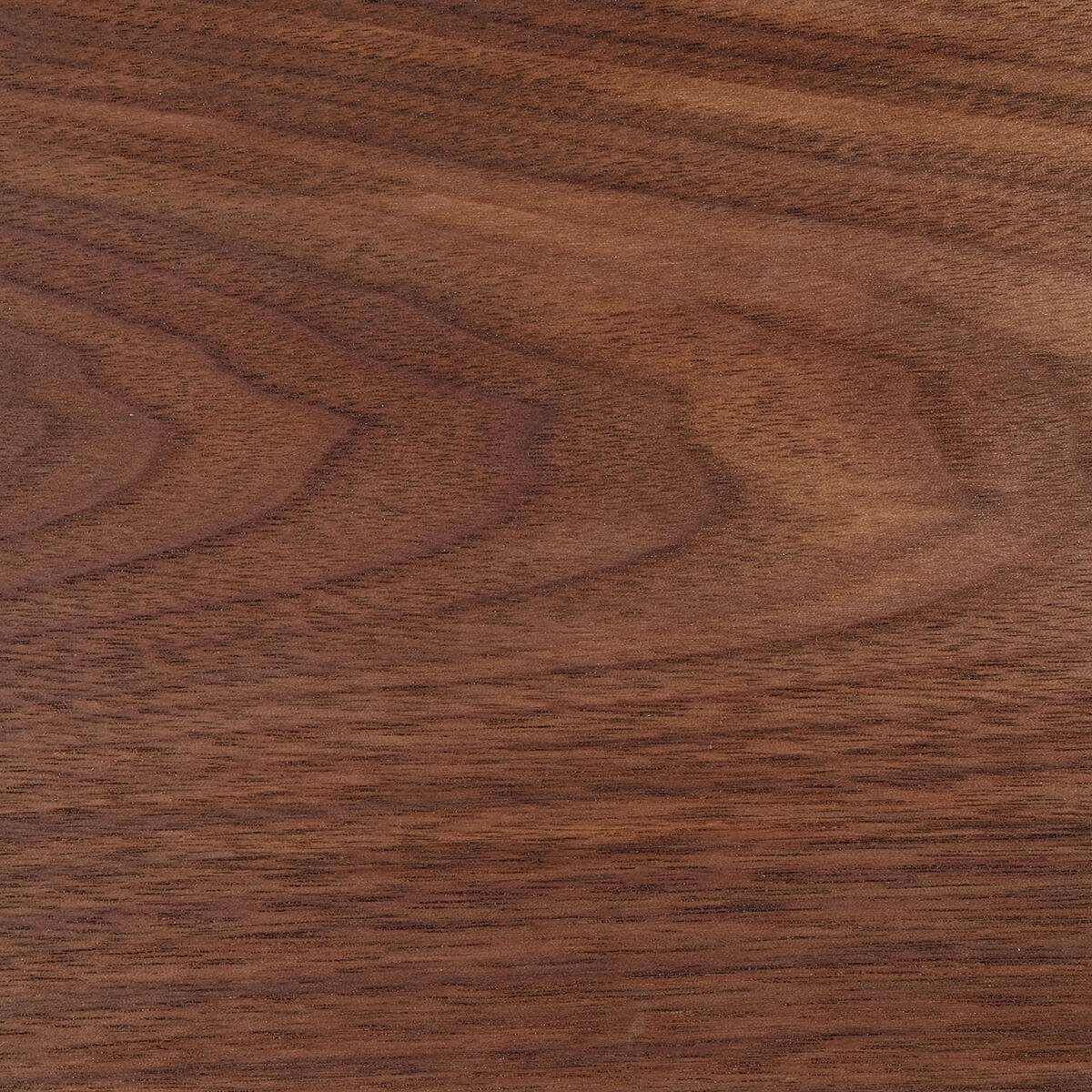 テーブル ローテーブル 木製 センターテーブル カフェ 円形 LISCIO Circle Low Table 42 木製 無垢 スタイリッシュ 北欧 ダイニング 日本製 代引き不可｜will-limited｜02