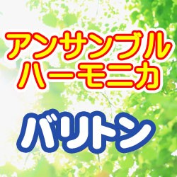 TOMBO（トンボ） バスハーモニカ 「オクターブ・バス」 トンボ楽器/No