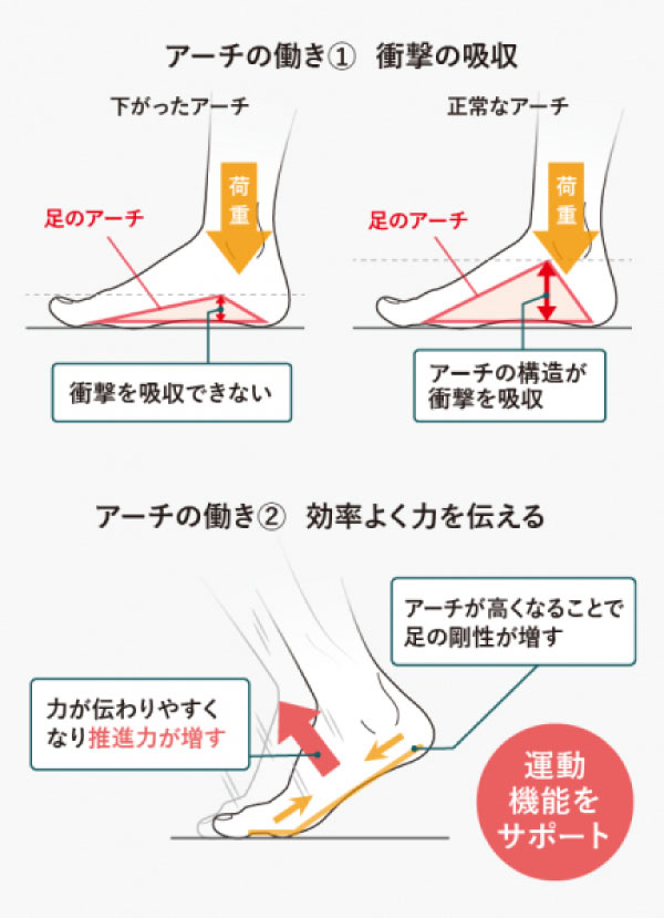 フットリリース説明/