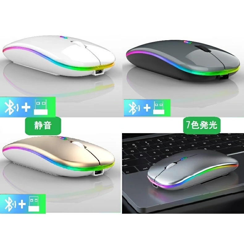h-mouse-9-light.jpg