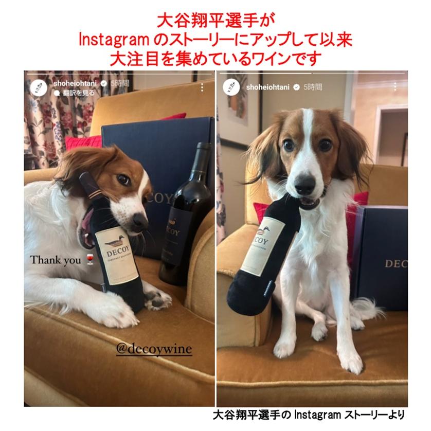 大谷翔平 ワイン 赤ワイン エチュードの元ワインメーカー) デコイ