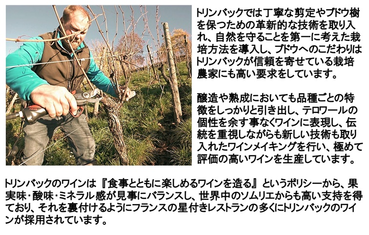 トリンバック リースリング 2022年 (エノテカ ワイン 白ワイン