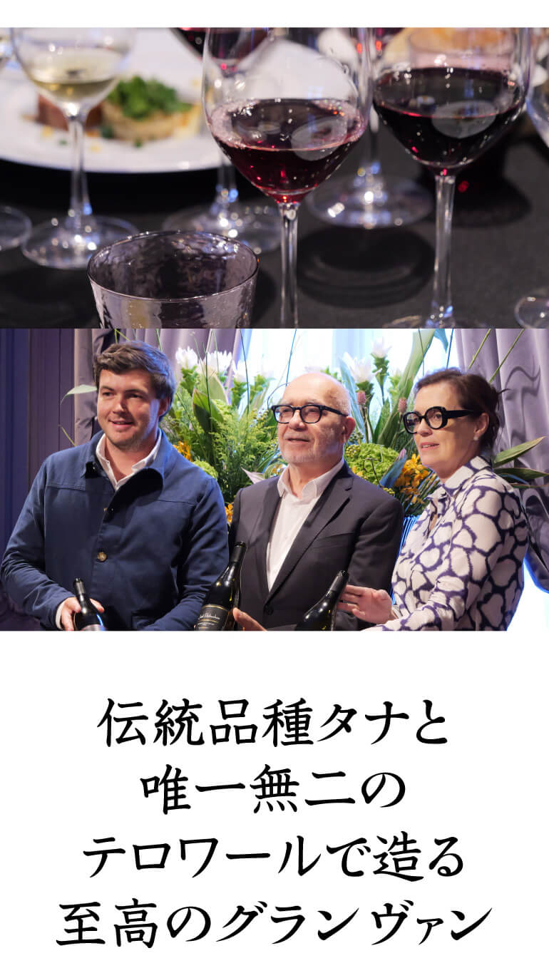 白ワイン ジョエル ロブション ブラン シュームジュール by アラン