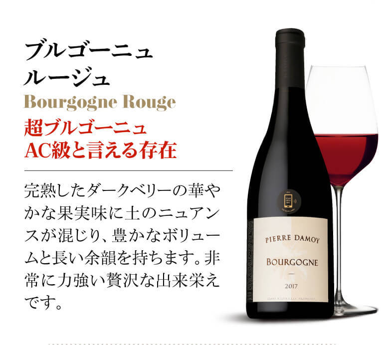 赤ワイン マルサネ ブレティニェ−ル 2013 ピエール ダモワ 750ml