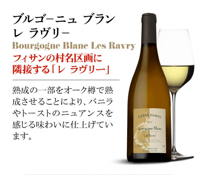 赤ワイン ジュヴレ シャンベルタン (2017) ピエール ダモワ 750ml