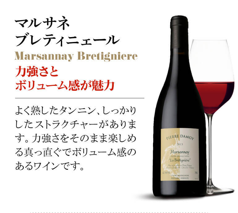 ピエール・ダモワ　ブルゴーニュ赤ワイン 赤ワイン ジュヴレ シャンベルタン (2017) ピエール ダモワ 750ml