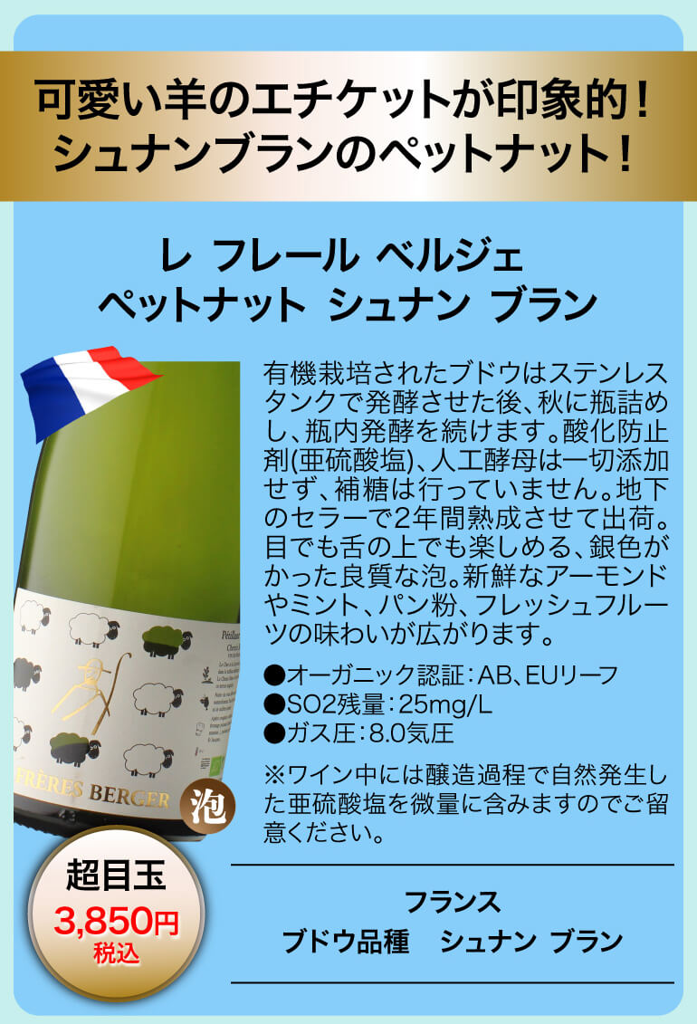 泡鬼コスパワイン9本セット