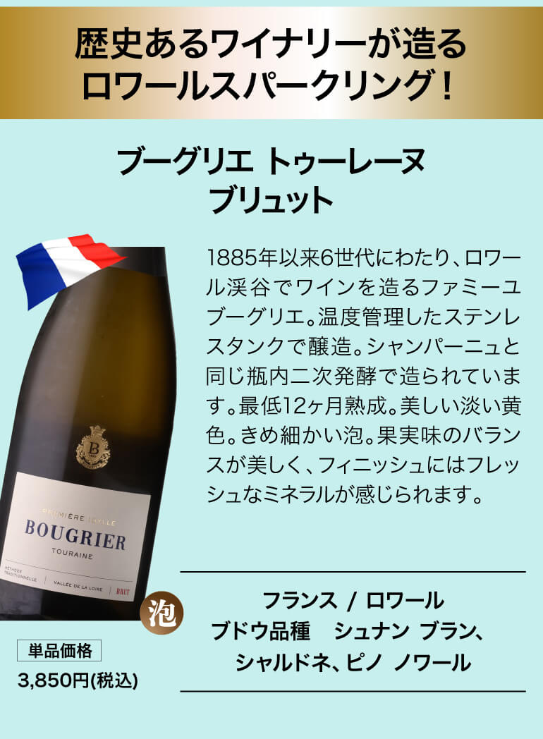 泡鬼コスパワイン9本セット