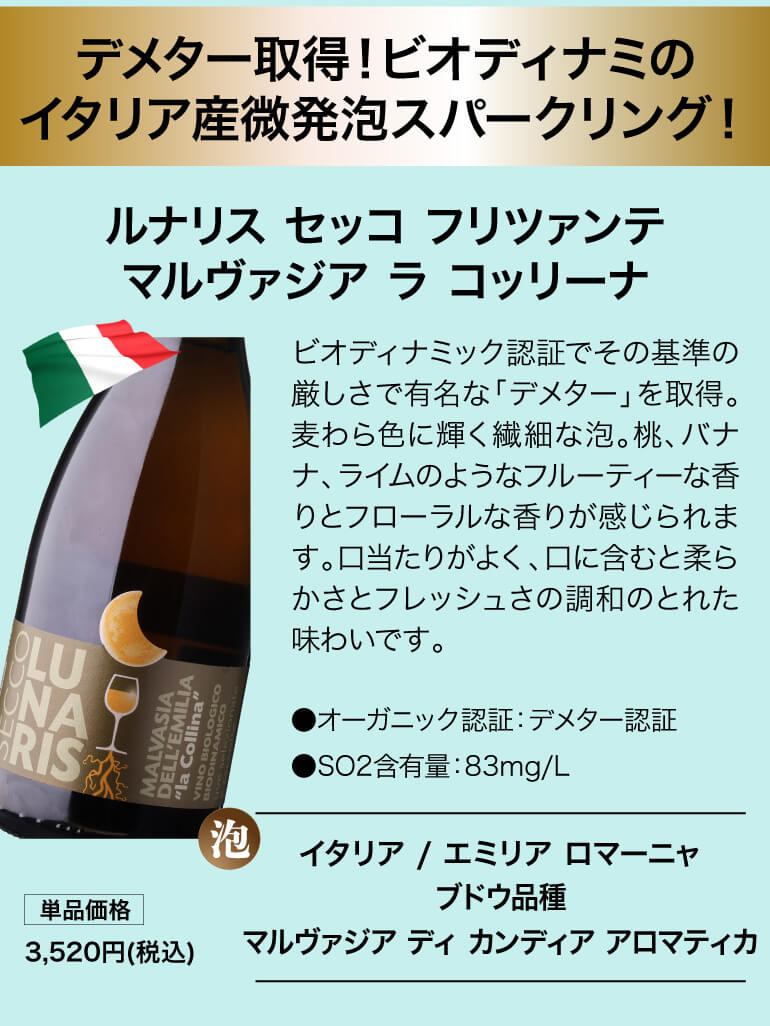 泡鬼コスパワイン9本セット