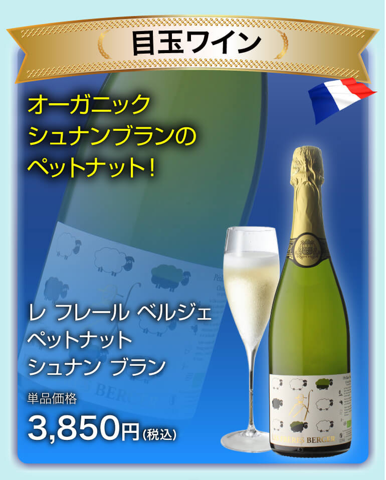 泡鬼コスパワイン9本セット