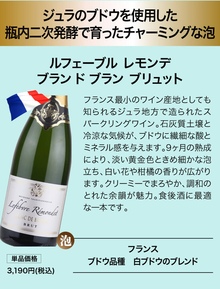 泡鬼コスパワイン9本セット
