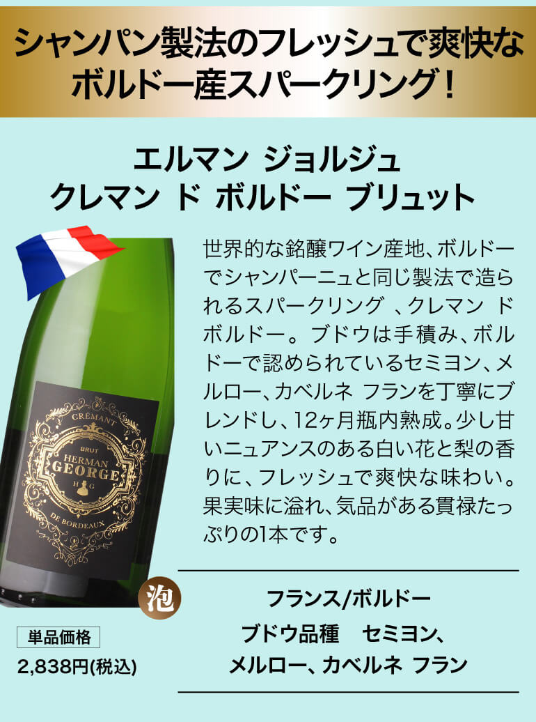 泡鬼コスパワイン9本セット