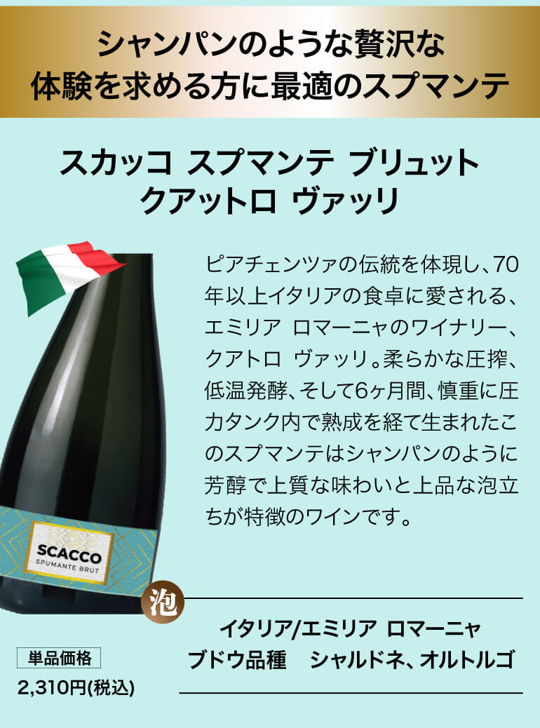 泡鬼コスパワイン9本セット