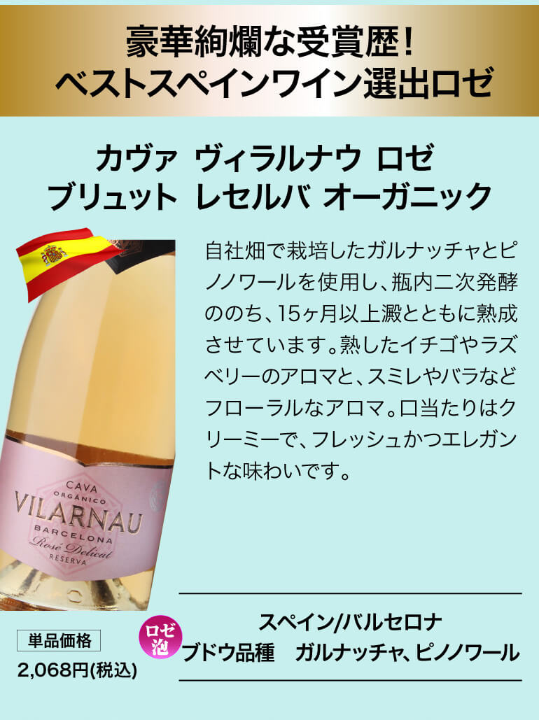 泡鬼コスパワイン9本セット