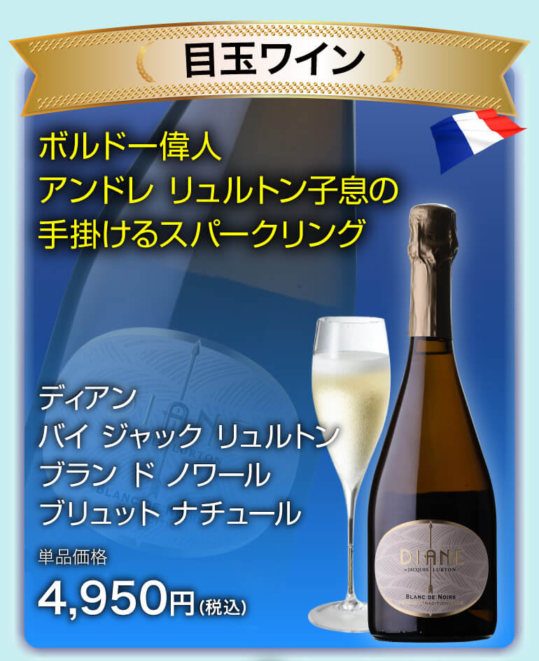 泡鬼コスパワイン9本セット