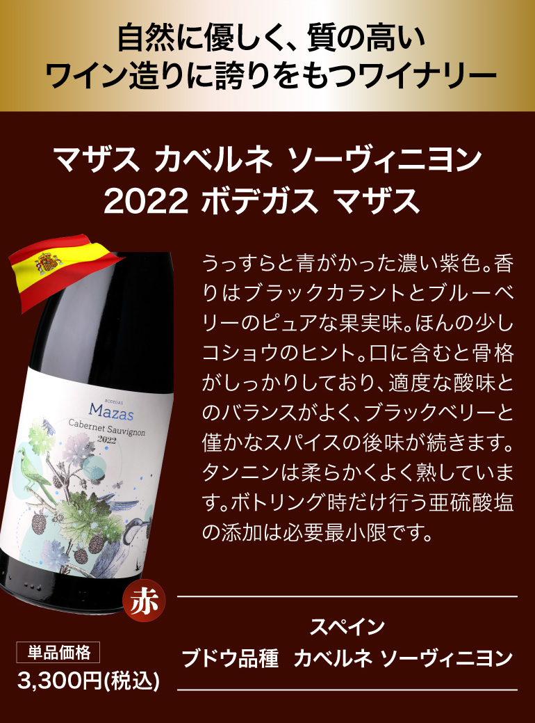 鬼コスパワイン9本セット