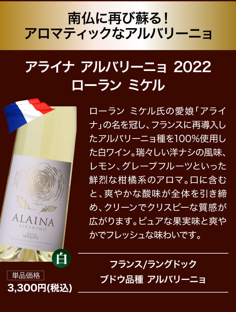 鬼コスパワイン9本セット