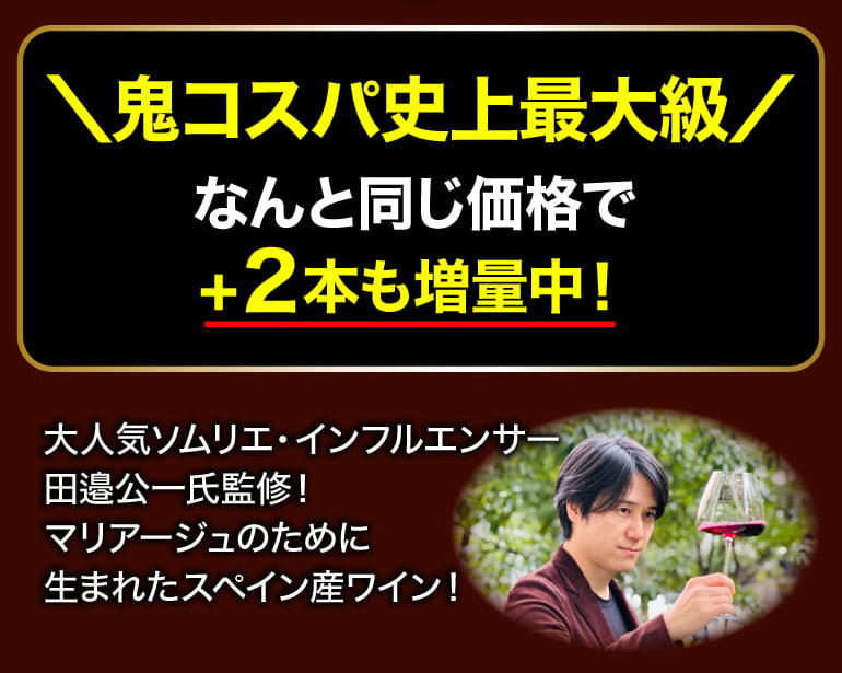 鬼コスパワイン9本セット