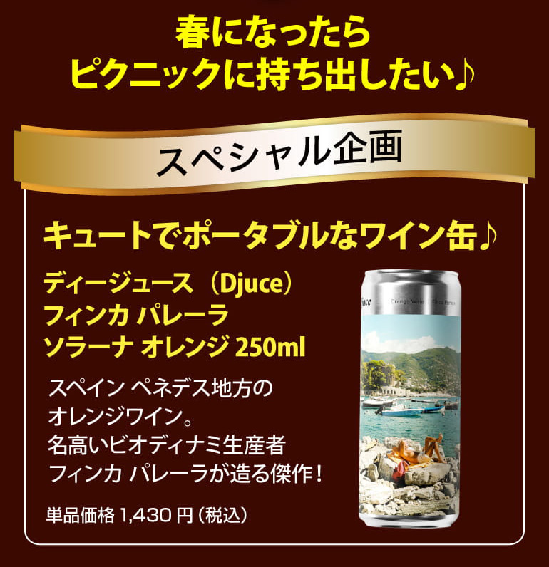 鬼コスパワイン9本セット