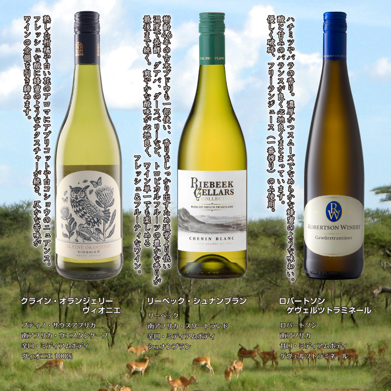 ポイント2倍(11日2時まで)】南アフリカワイン赤白6本セット 750ml×6本