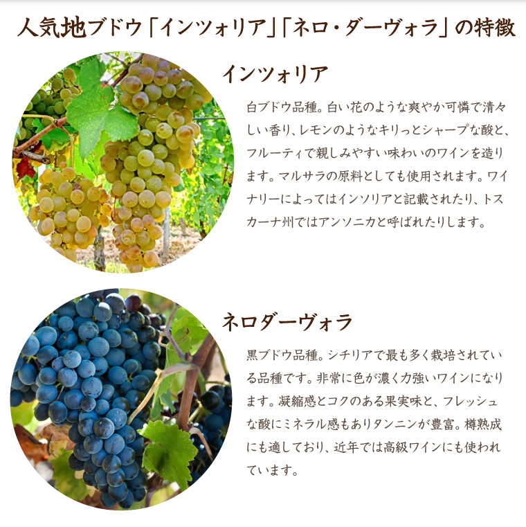 ブドウの旨味をしっかり味わう赤ワイン、白ワインセット！トッリ