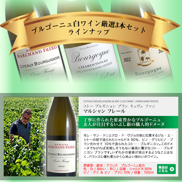 送料無料)ブルゴーニュ白ワイン3本セット(B)ワンランク上の作り