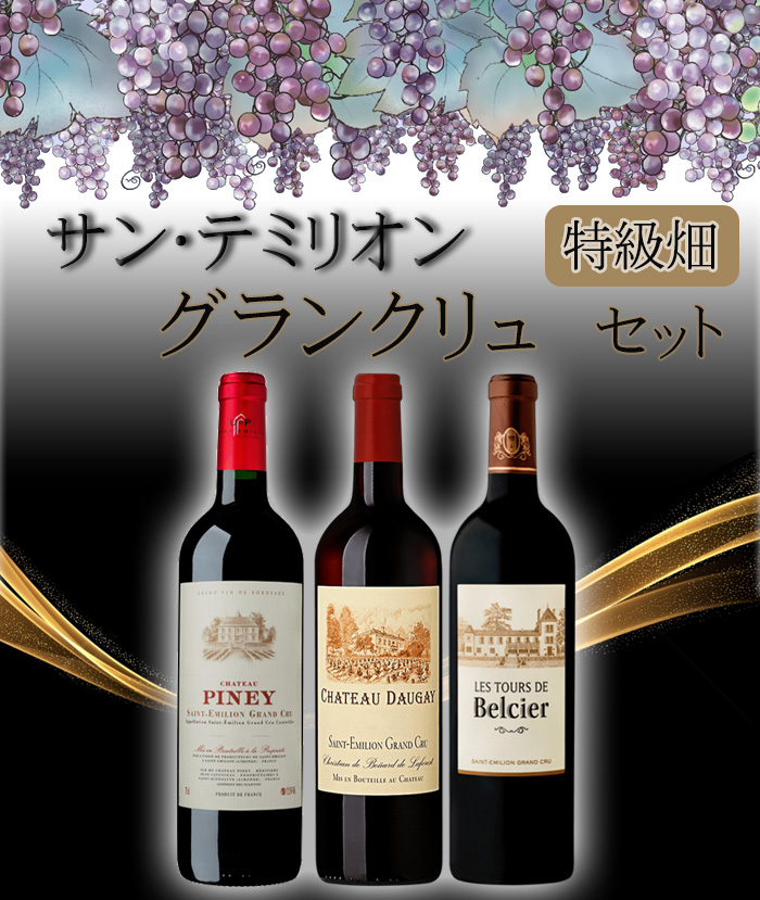 飲料・酒 シャトー レルミタージュサンテミリオングラン クリュ2001