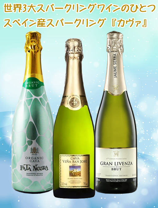 【送料無料】【5本セット】フランス産スパークリング＋カヴァ ワイン ワインセット スパークリング 5本 格安 辛口 泡 カヴァ