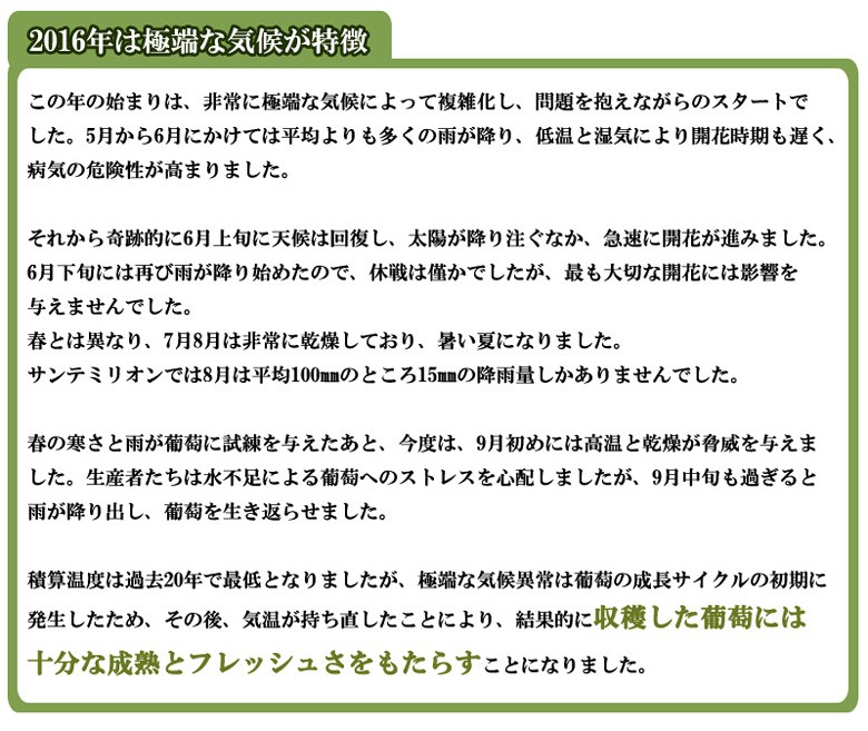 上品なスタイル 赤ワイン オール金賞 ACボルドーベルジュラック 6本セット フランス ワイン