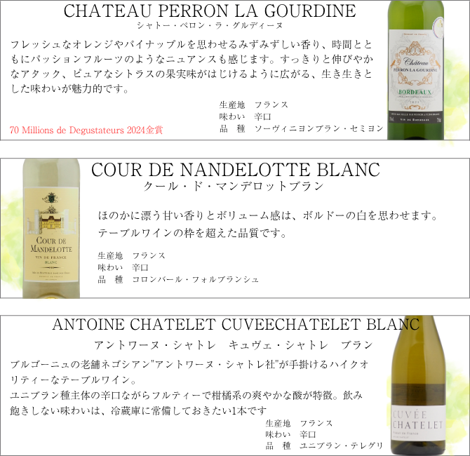 送料無料】＜第66弾＞スペシャル白ワイン12本セット（白12本） 同梱