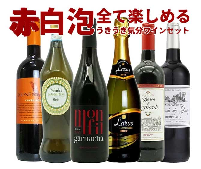 HOKUSAI170 赤ワイン 2010年 2本セット ワインセット 極上の味わい＆価格に超自信あり！毎日の食卓に！赤・白