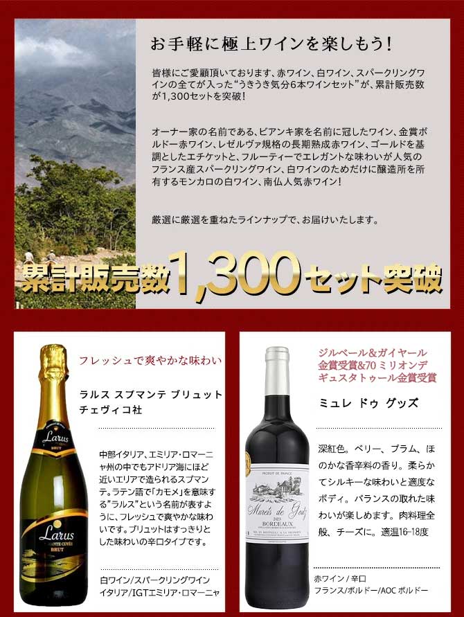 ワインセット 極上の味わい＆価格に超自信あり！毎日の食卓に！赤・白