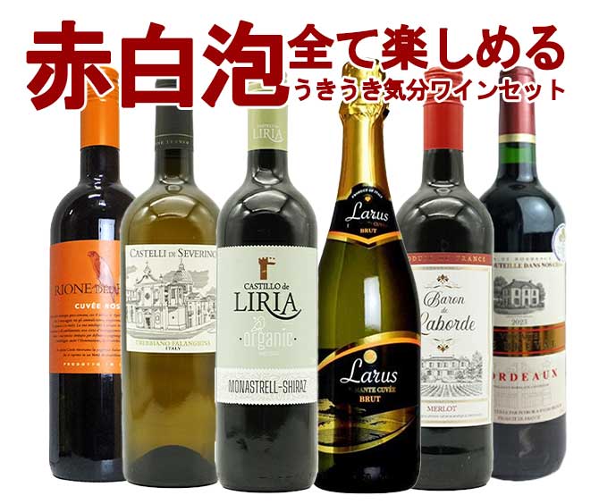 ワインセット 極上の味わい＆価格に超自信あり！毎日の食卓に！赤・白