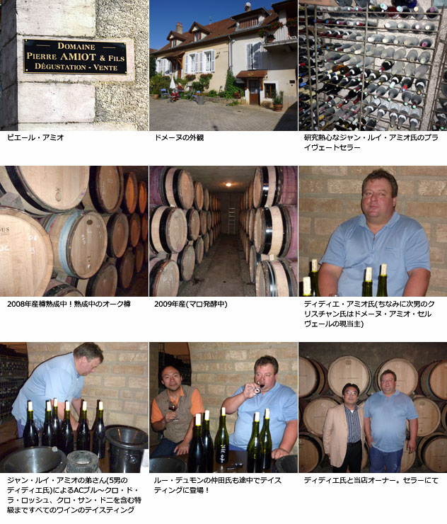 【希少品】 クロ ド ラ ロッシュ グラン クリュ 特級 2017年 ドメーヌ ピエール アミオ エ フィス 750ml 正規代理店輸入品 赤ワイン 【Q1987283191】(12639円)