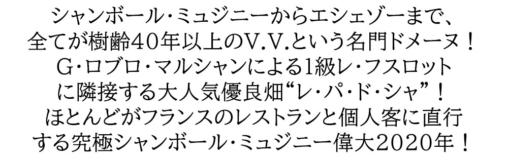 シャンボール ミュジニー レ パ ド シャ 2020 蔵出し限定品 ドメーヌ G