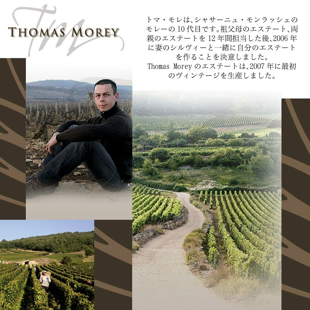 【最終価格】トマ・モレ バタール・モンラッシェ 2020【クール便送料込】 最終価格】トマ・モレ バタール・モンラッシェ 2020【クール便送料込
