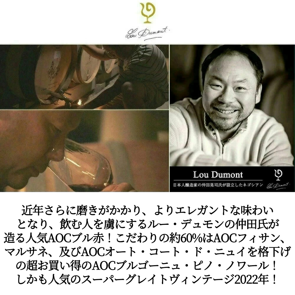 ブルゴーニュ ピノ ノワール (ルージュ) 2022 セラー出し品 ルー