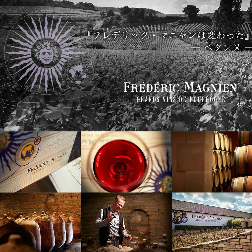 ジュヴレ シャンベルタン シャン シュニ (シェニ) アンフォラ (ジャー