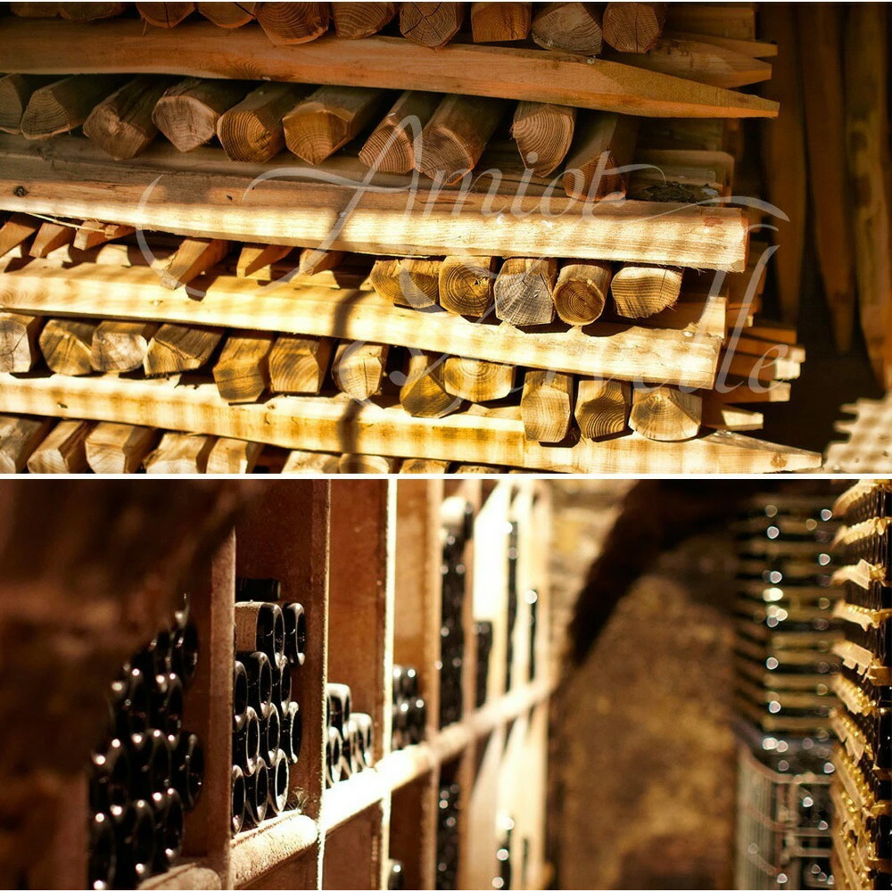 シャンボール・ミュジニー 2020／ドメーヌ アミオ・セルヴェル アミオ・セルヴェル / シャンボール・ミュジニー(2020年 750ml