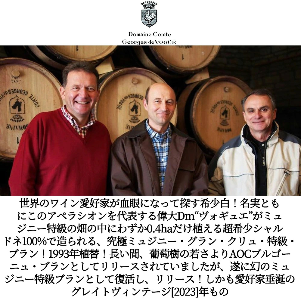 ミュジニー グラン クリュ 特級 ブラン 白 2023 蔵出し限定品 ドメーヌ