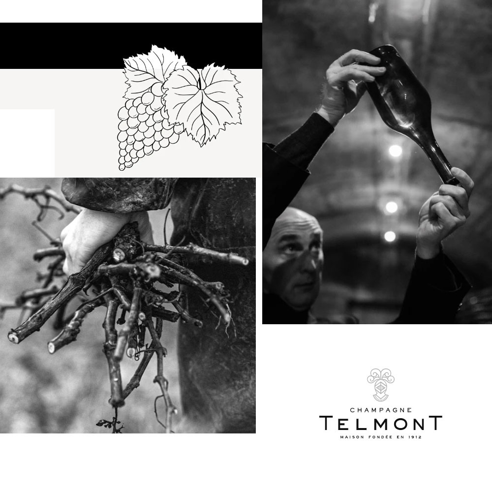 テルモン シャンパーニュ ブラン ド ノワール エクストラ ブリュット