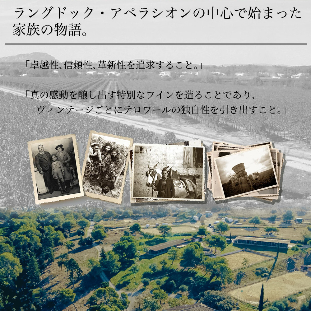 ブラック ダイヤモンド (カベルネ ソーヴィニョン) 2023 (宝石シリーズ