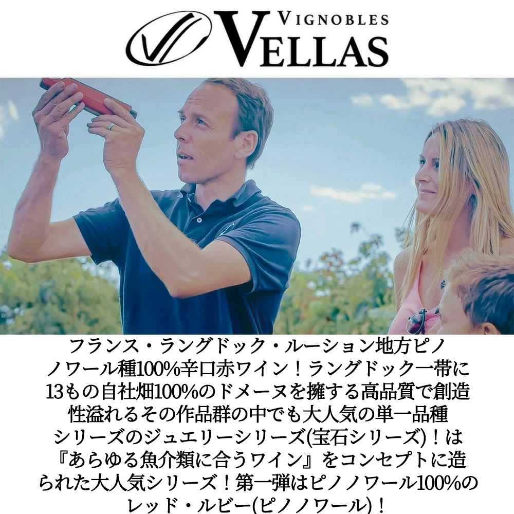 レッド ルビー (ピノノワール) 2024 (宝石シリーズ) ヴィニョーブル