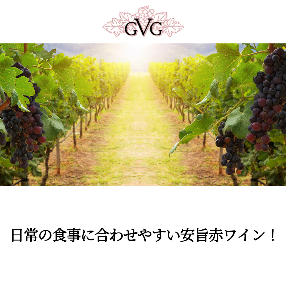 バロン ド ラボルド 赤 2023 GVG フランス IGPペイドック 度数13