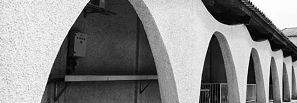 アンリ ドーティニャック シャルドネ(樽熟)[2024]年 ヴィニョーブル エ