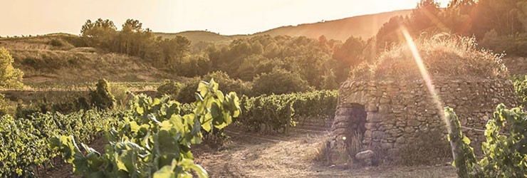 フレシネ イタリアン ロゼ スパークリング ワイン カッティングボトル 正規代理店輸入品 イタリア ロゼ 辛口 スパークリングワイン 750ml