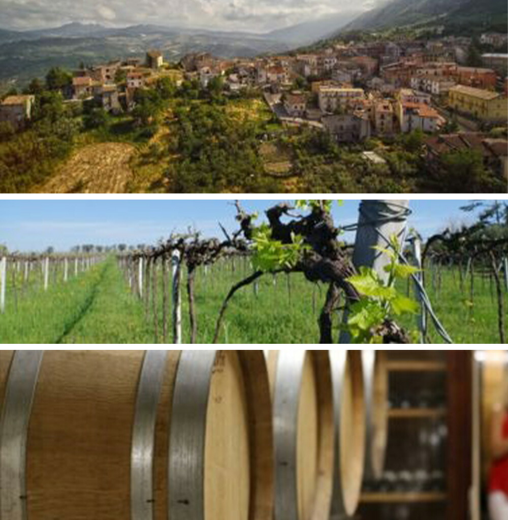 カーザ バリコーニ ヴェルメンティーノ 2024 ロッカ IGPテッレ